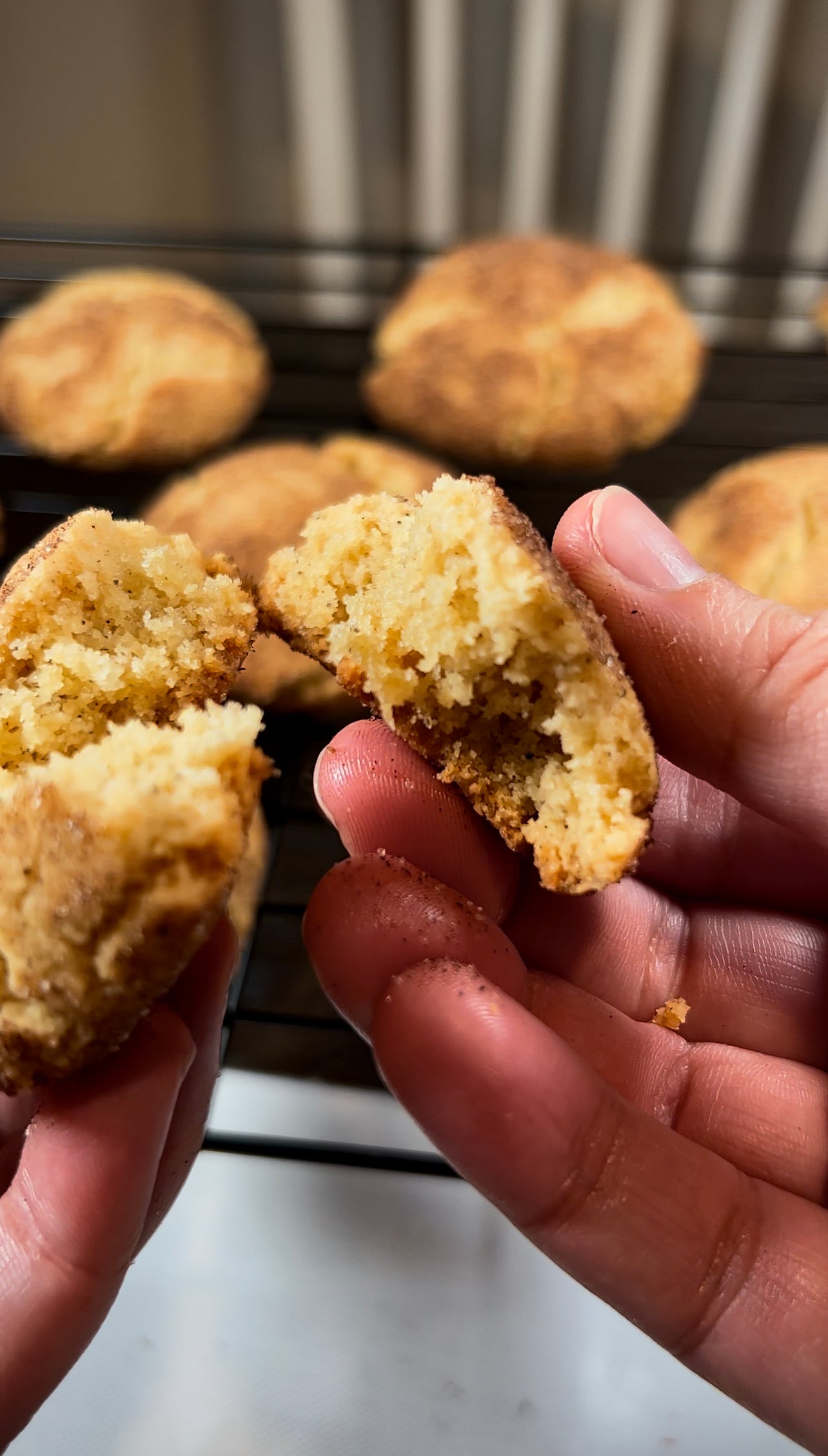 Snickerdoodles